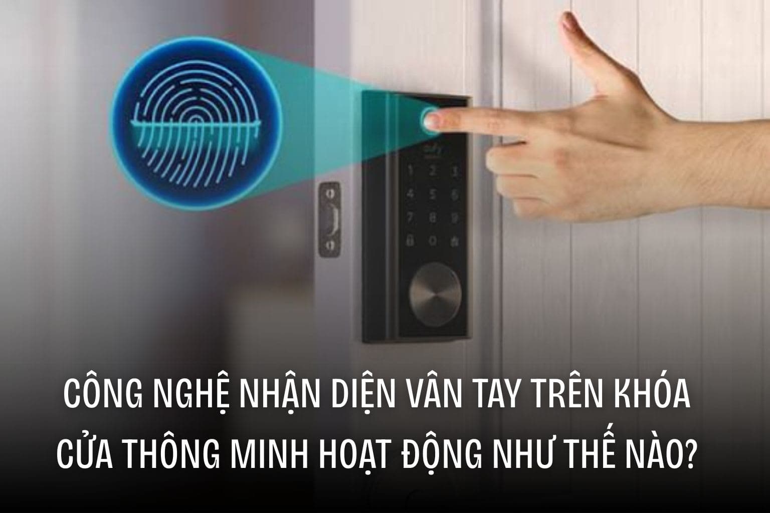 Công nghệ nhận diện vân tay trên khóa cửa thông minh hoạt động như thế nào?